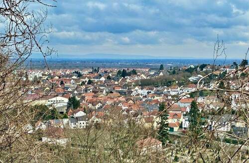 Ausblick Süd-Ost - Grundstück in Bad Dürkheim zum Kaufen