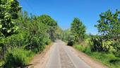Weg zum Ferienhausgebiet - 