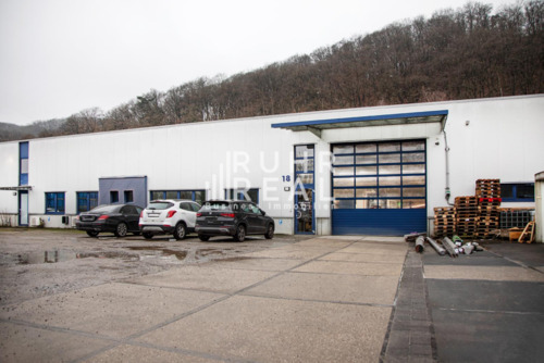 Außenansicht - Lager- und Produktionshalle mit viel Freifläche 