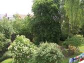 Blick in den Gartenbereich - 