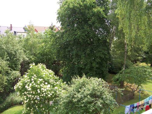 Blick in den Gartenbereich - 