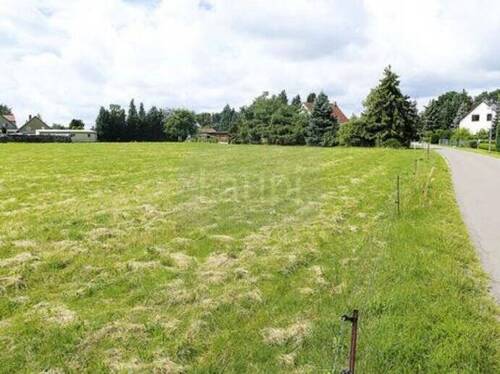 Grundstücksansicht im Sommer 09 - 