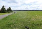 Grundstücksansicht im Sommer 10 - Ortsausgang - 