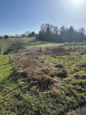 Süd-Ost-Blick - Baugrundstück mit viel Potential in Gelnhausen-Hailer