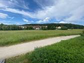 Blick vom Grundstück auf die Wiese.jpg - 