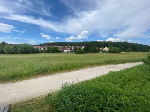 Blick vom Grundstück auf die Wiese.jpg - 
