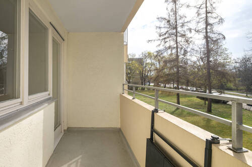 Grünblick & Sonne - 