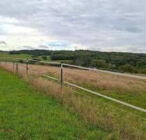 Pferdehaltung und mehr: Umfassend saniertes Bauernhaus mit Nebengebäuden und 3,54 ha Eigenland! - Altenkirchen (Westerwald) Gieleroth