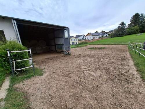 20250924_144839.jpg - 