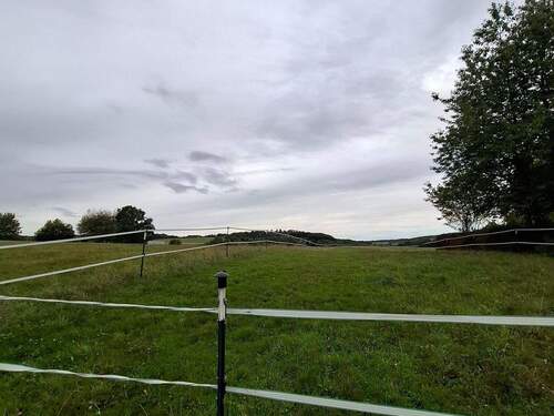 20250924_154519.jpg - 