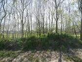Ausblick - 
