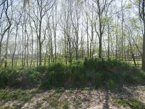 Ausblick - 