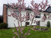 95b122c4-7237-459a-81de-ca0e4a481d36 - Großzügiges Einfamilienhaus mit Einliegerwohnung in ruhiger Lage von Katlenburg-Lindau