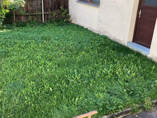 IMG_2042.JPG - 9 Zimmer Etagenwohnung in Villingen-Schwenningen