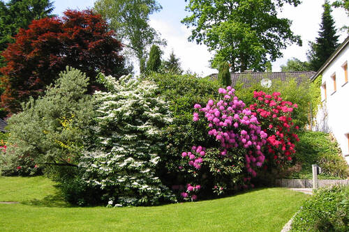 Bild 4 - Einfamilienhaus mit 141,00 m&sup2; in Bendestorf zum Kaufen