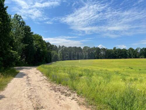 Feld vor dem Grundstück - Großes bebaubares Wochenendgrundstück in der Schorfheide nahe Üdersee