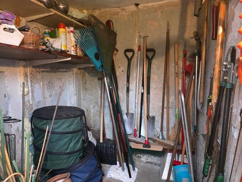 20251113_160336.jpg - 