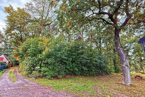 Frontansicht - Grundstück in Storkow zum Kaufen