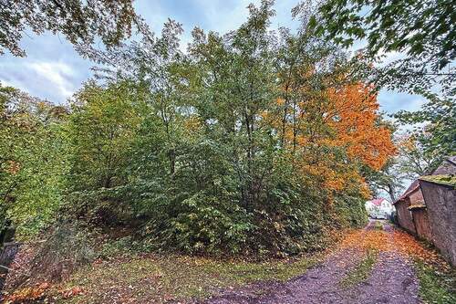 Wegansicht - 