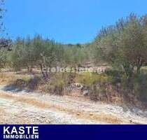 Grundstück mit 2700 m² in Plakoures Faneromeni auf Kreta zu verkaufen - ?????????
