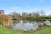Teich - 