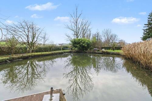 Teich - 