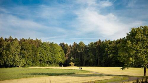 Umgebung - 