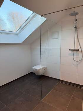 Bad DG rehcts.jpeg - 