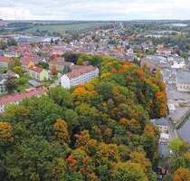 1,6 ha großer Wald mit einem Flurstück im Mischgebiet - zentrale Lage im Stadtgebiet - Penig