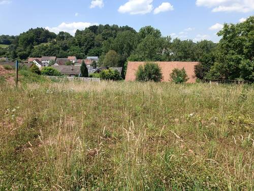 1719408351604 - Grundstück in Zweibrücken