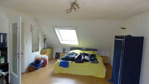 .Zimmer DG - 
