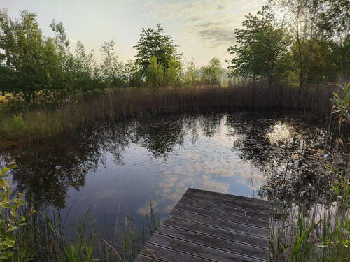 Bild 11 - 