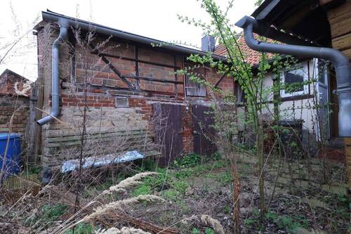 Garten mit Schuppen - 