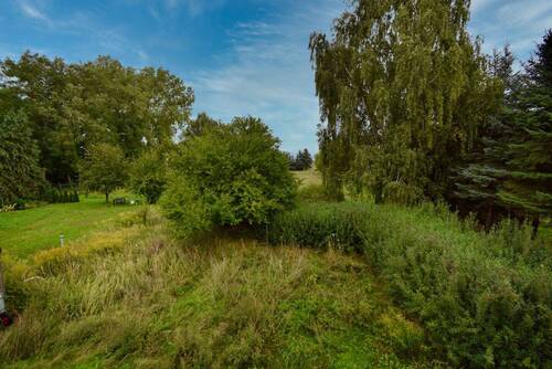 Im Garten - 