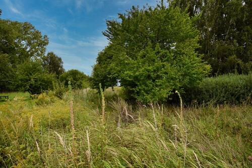 Bild 24 - 