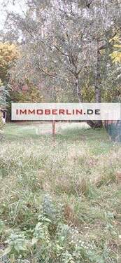 5.JPG - 