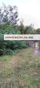 6.JPG - 