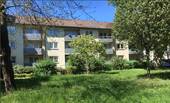 Rückansicht eines mehrstöckigen Wohngebäudes mit Balkonen umgeben von grünen Sträuchern und Bäumen. - 2 Zimmer Etagenwohnung zur Miete in Frankfurt am Main