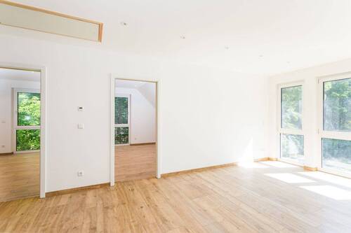 Gallery - 
