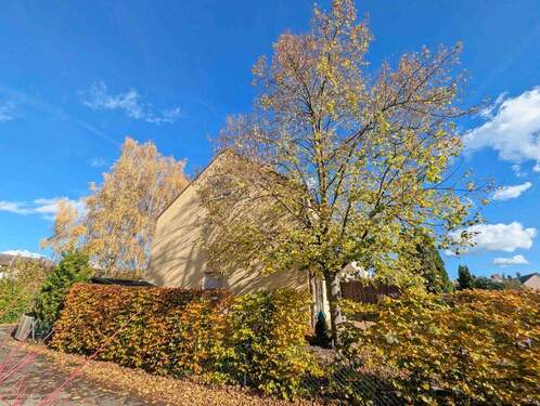 Ansicht West PXL_20251030_111424434b.jpg - 