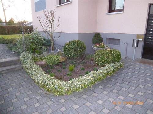 P1020203.jpg - 3 Zimmer Etagenwohnung zur Miete in Lampertheim