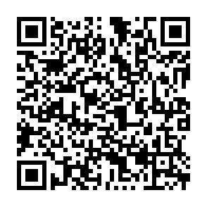 QR-Code - 