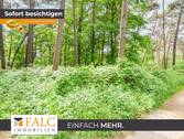 Eingewachsener Waldbereich - Waldareal in gewachsener Naturkulisse