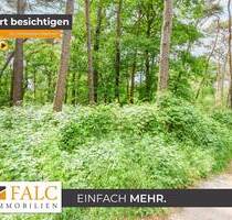 Waldareal in gewachsener Naturkulisse - Brüggen