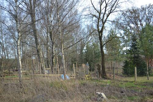 mit Baumbestand... - 