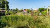 Garten 2 - 