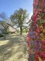Gartenblick - 