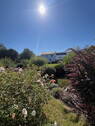 Impressionen - 
