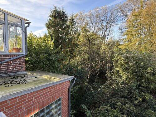 Blick auf den Garten - 