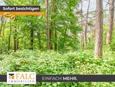 Naturbelassener Waldbereich - Ein Stück Holter Heide fürs eigene Portfolio